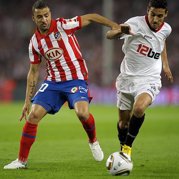 能会使新东 能会使新东